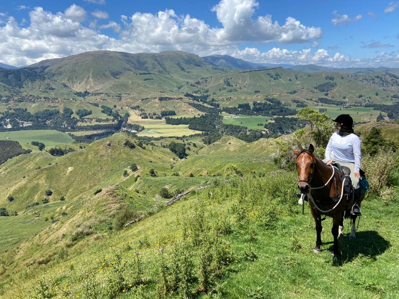 The best places for horse riding in New Zealand Hooves Around the World
